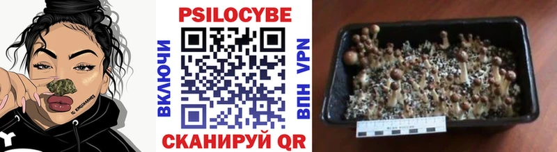 Галлюциногенные грибы мухоморы  даркнет сайт  Нижний Ломов 